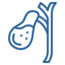 Cirugia y laparoscopia de vesicula en merida